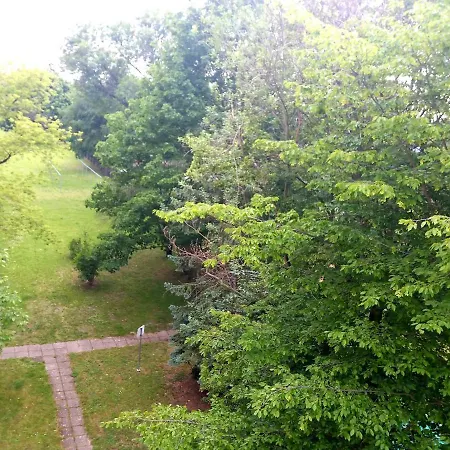 Helles Mit Balkon Am Grossen Garten Nahe Stadtzentrum