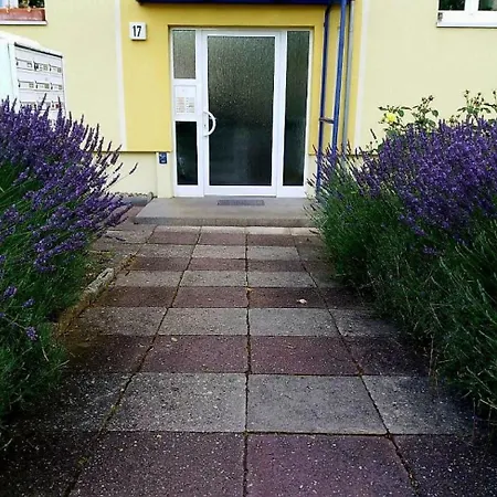 Lägenhet Helles Mit Balkon Am Grossen Garten Nahe Stadtzentrum