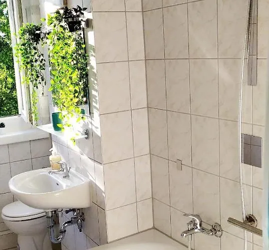 Helles Mit Balkon Am Grossen Garten Nahe Stadtzentrum Daire