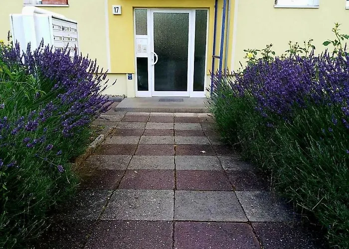 Daire Helles Mit Balkon Am Grossen Garten Nahe Stadtzentrum